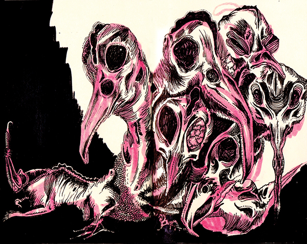 bird Plague plague doctor birds black pink