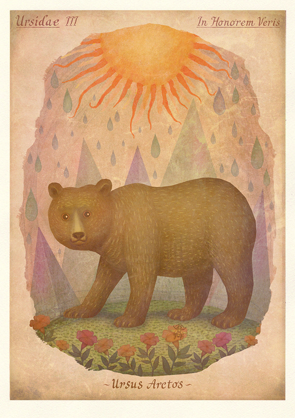 bear illustrations ursidae honor of spring Polar Bear brown bear giant panda panda bear Sloth Bear Sun Bear SciArt
