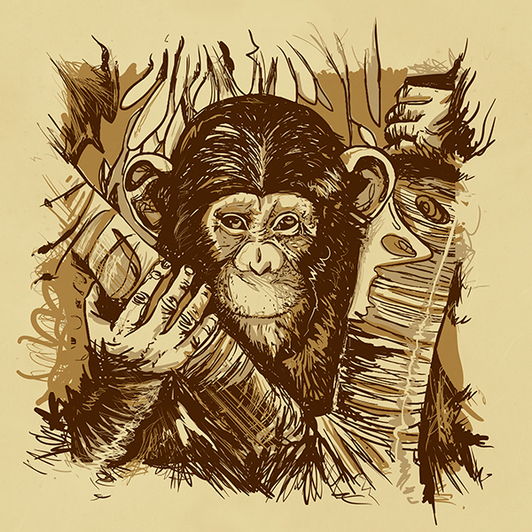 Macaco Illustrator animal monkey ape vetor bico de penna
