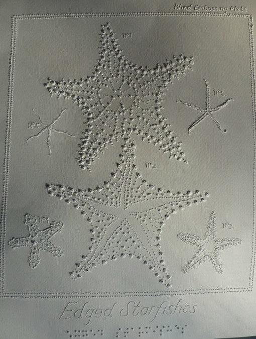 starfish  Illustration blind