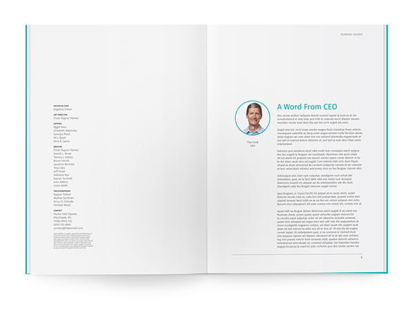 white paper whitepaper InDesign template