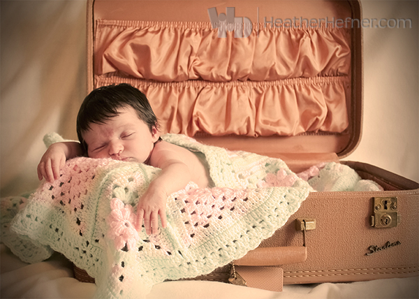 seattle  raleigh  Washington virginia north carolina Travel maternity baby