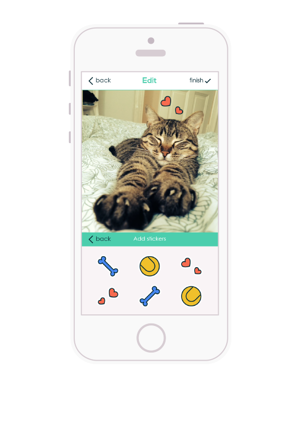 app design animals icons iphone graphic logo vector Cat dog Colourful 