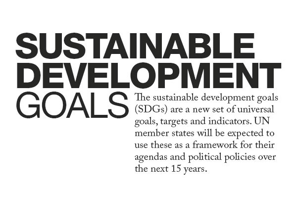 sustainable development goals Goals development Sustainable global issues Icon icons development education Education un United Nations poster posters SDG global development