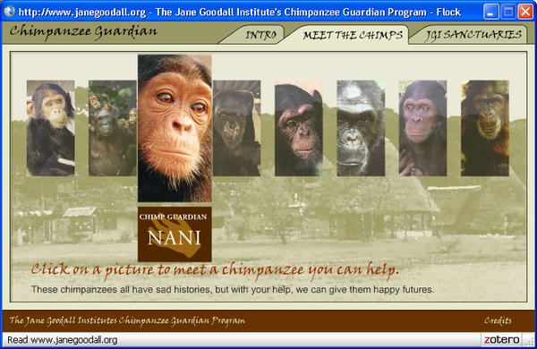 Jane Goodall chimp Website Bryce Tugwell Large Site non profit africa