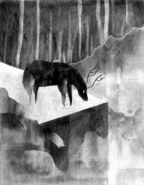 charcoal  drawing art  nature  experimental  wilderness  forest