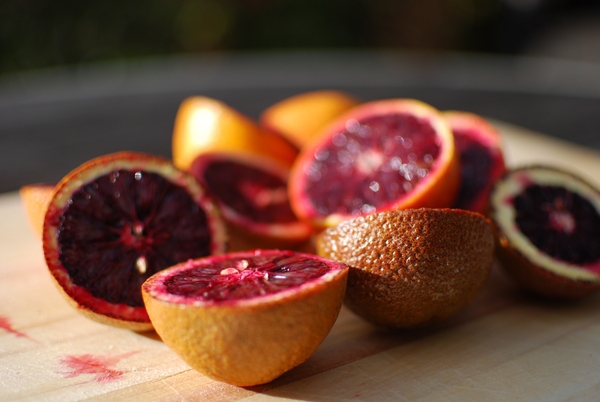 citrus meyer lemon blood orange lime Nature outdoors Food  food styling Fruit