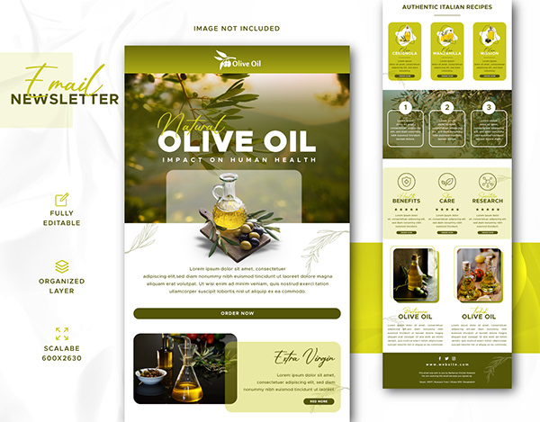Olive Oil | Email Template | Newsletter Design