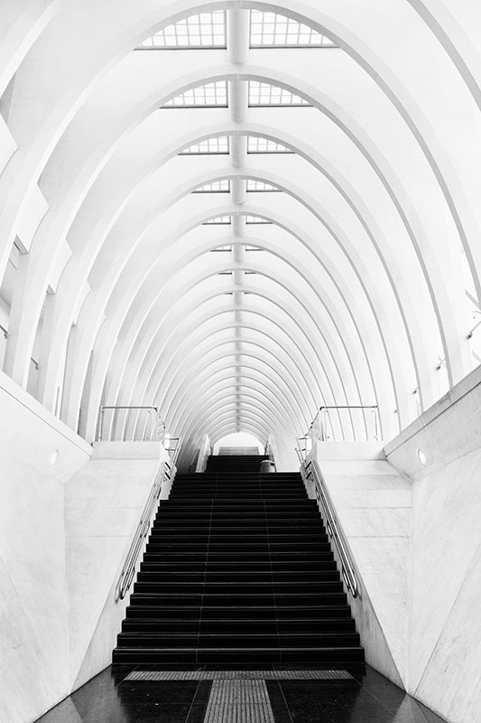 canon eos 7D liège Guillemins train STATION calatrava abstract futuristic geoffrey Gilson www.geoffreygilson.net