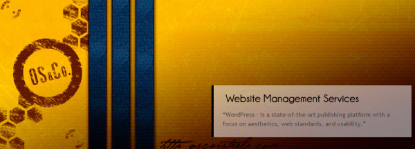 media wordpress Theme logo photoshop texture services portfolio brand art chrome browser