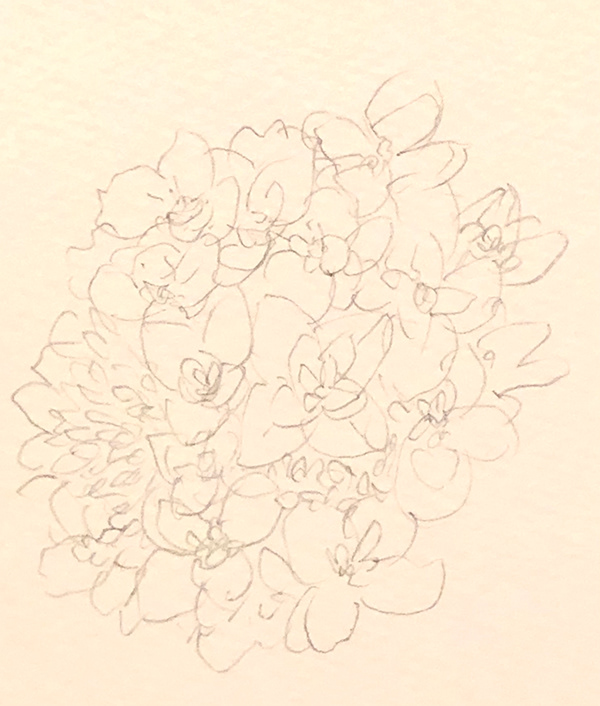 flowers sketch 桜やバラなど　鉛筆スケッチ