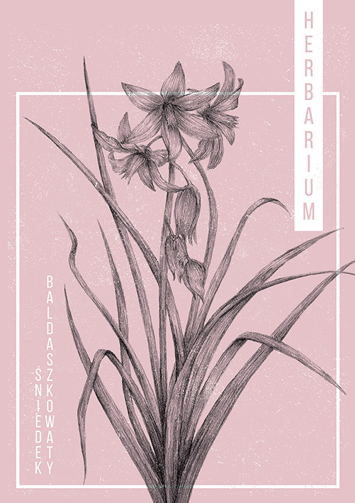 Flowers posters Herbarium Nature polish