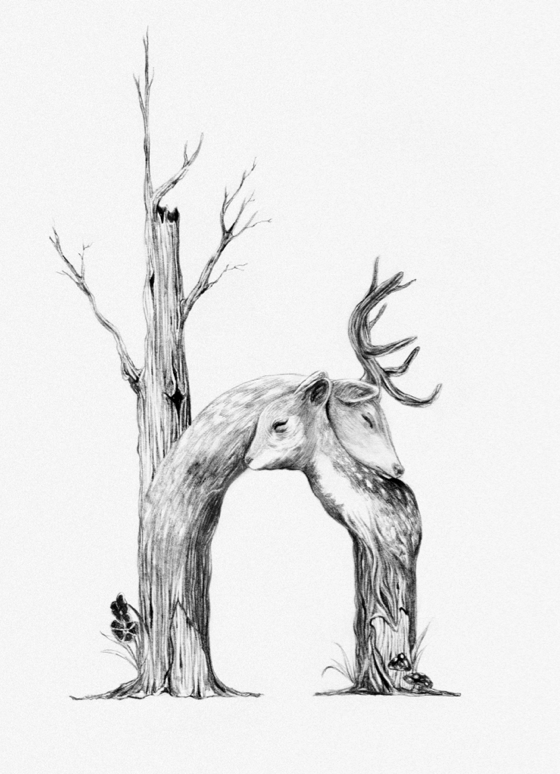 hope Leo Burnett ogilvy bendmore deer animal typo illustration