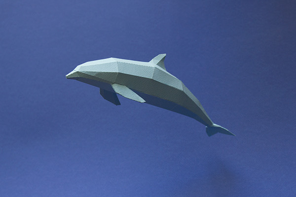 Cetáceos Cetaceans paper papel dolphin Whale narwhal delfin ballena narval under the sea bajo del mar criaturas marinas