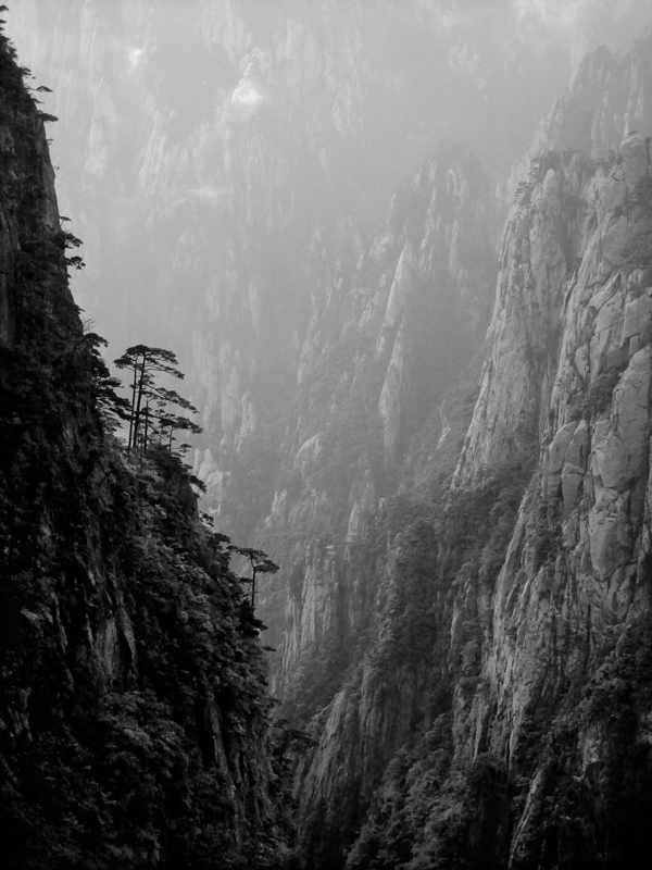 anhui china environment Huangshan landscape photography Mt Huangshan Scenic Area Privatisation privatisation of national parks UNESCO World Heritage site mountains Landscape Granite mist fog rock