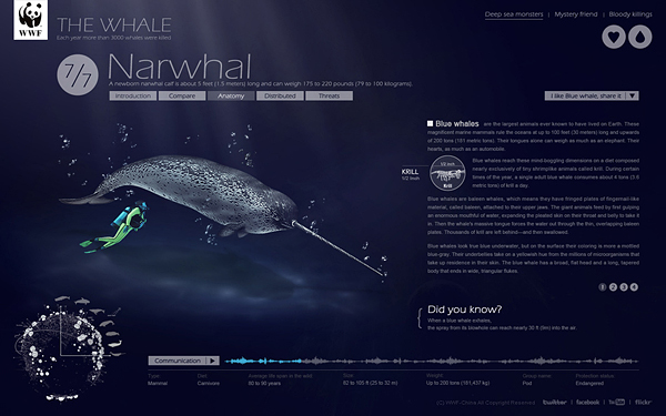 Animal protection knowledge Whale spread