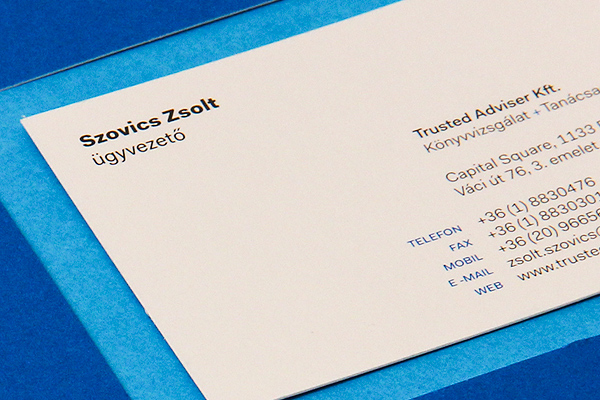 finance budapest blue magenta identity business card letterhead Dynamic emblem Logotype fakt Website