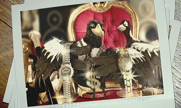 birds Magpies Character 3D commercial