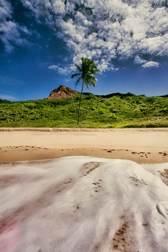 Brazil north Paraíba João Pessoa Surf PIPA iguana monkey beach Ocean Brasil