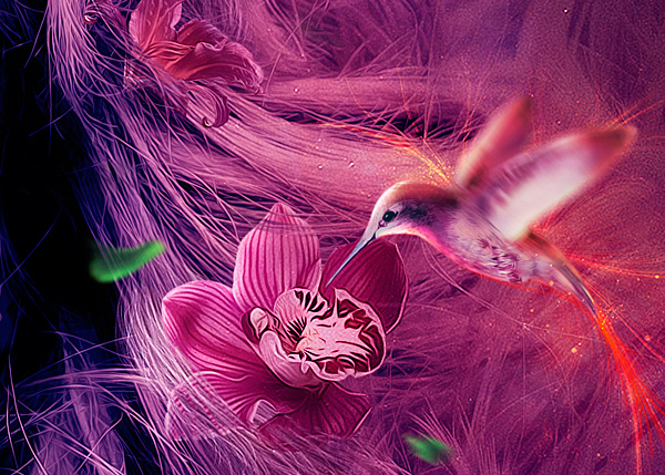 ranko  blazina  fashion  kolibri  PHOTOMANIPULATION  digital art  retouching  girl  2013  magic  Purple  Pink  wind  Leaves