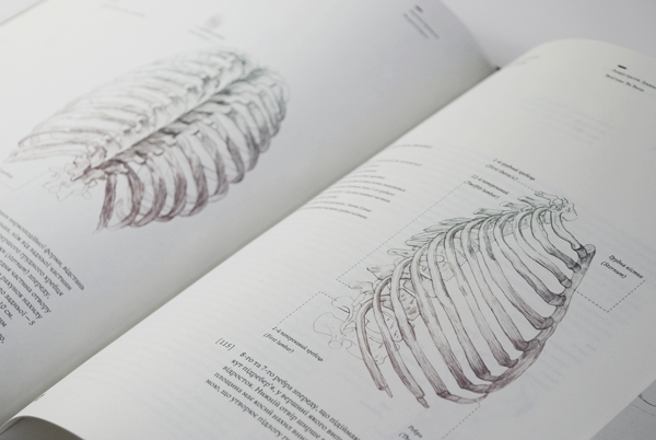 book anatomy skull bones osteology motion skeleton Rare