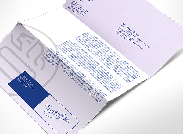 logo blue cobalt gray identity stationary Collateral Zurich swiss IT financial insurance lion circuit modern