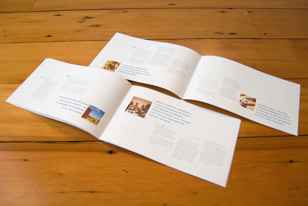 prospectus corporate identity print business Booklet photos Education kids children icons blue type typography.