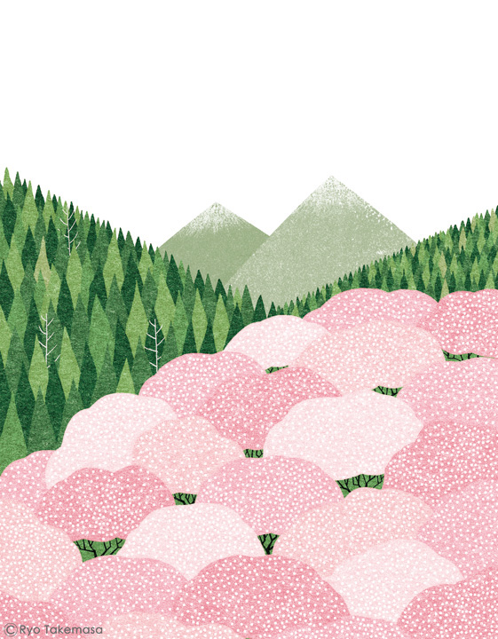 mountain Landscape Nature Cherry blossoms