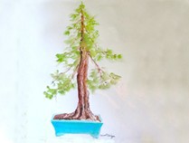 watercolor ink bonsai tree