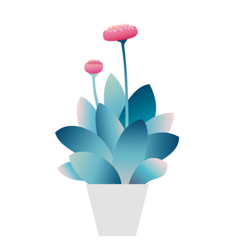 garden colours Website Flowers Web Design  White ILLUSTRATION  cactus Plant Tropical
