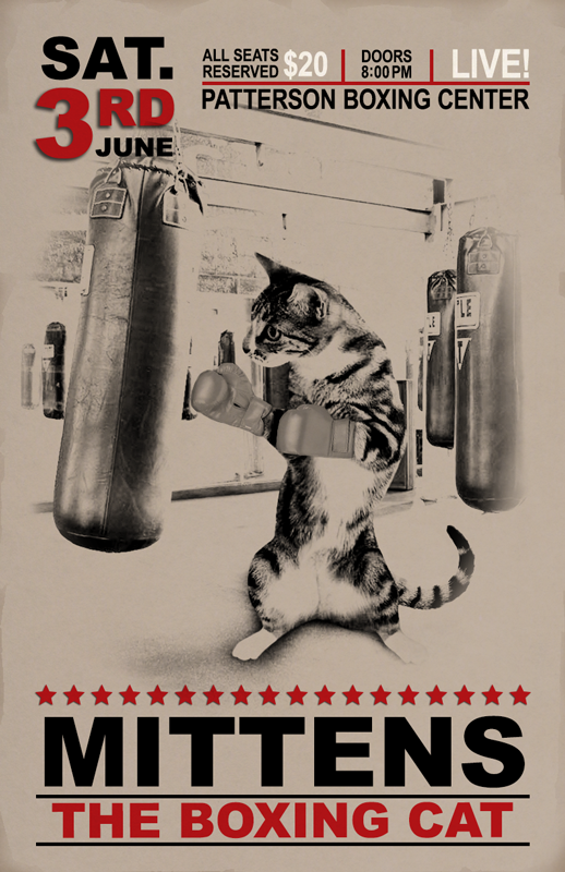 Boxing Cat vintage poster Photo Manipulation  photo editing composite image