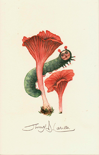Caterpillar flower Nature watercolor mushroom botanic vintage
