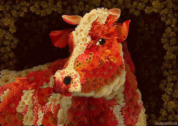 collage cow Flowers creative archimboldo meat milk