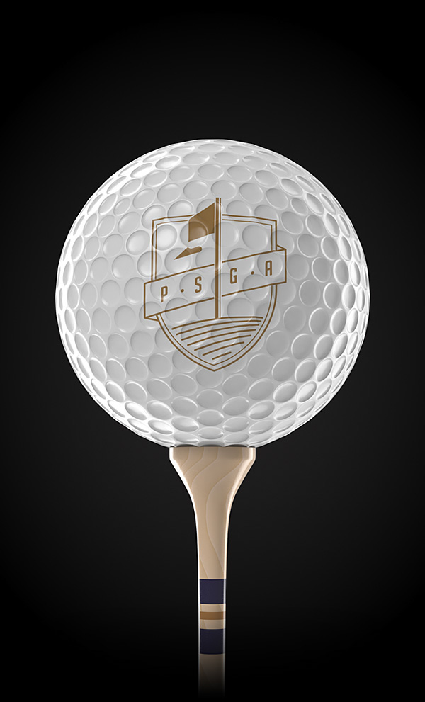 golf PSGA Association sports sport crest polish tee golf_ball ball Coffee spill wood gold