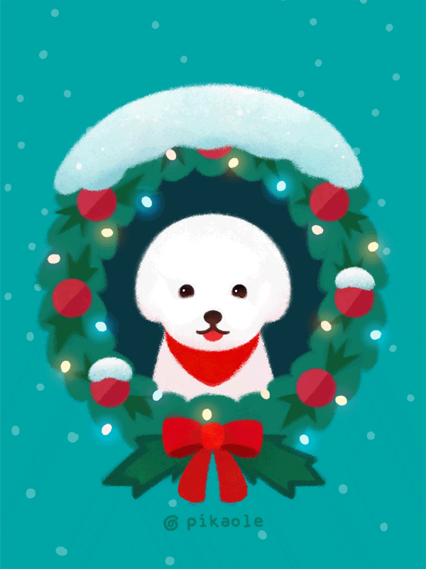 Christmas winter Bichon Frise puppy dog cute Wallpapers Holiday Theme sticker pack