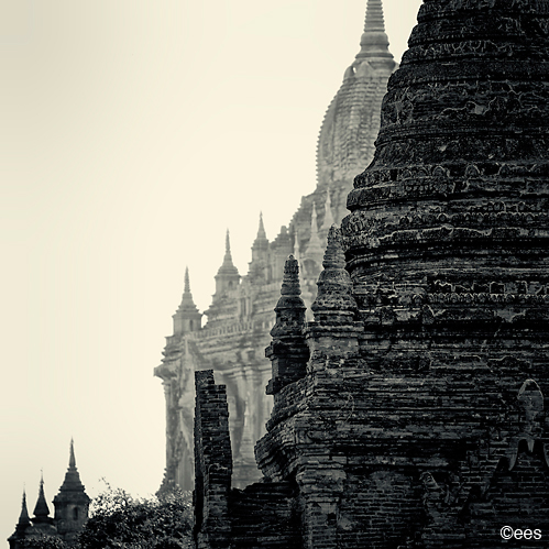 portrait people Food  fine art black&white photography stills art abstract man woman hands temple fish myanmarpure