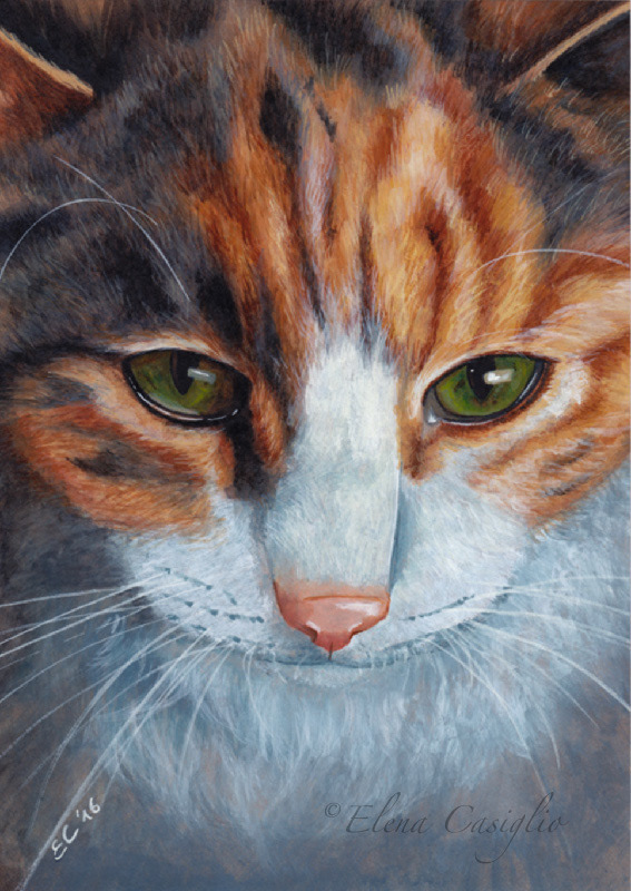 Pet portrait of a cat in gouaches. Elena Casiglio