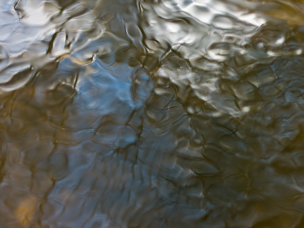 surface tension water reflections john sisson