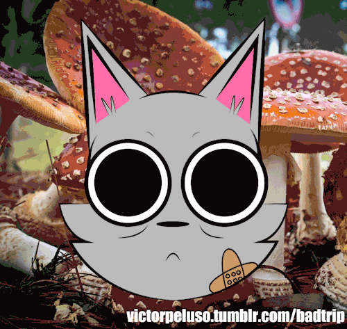 comic Cat acid badtrip Webcomic cartoon Graphic humor TRADITIONAL ART art sequencial art