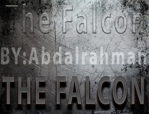 the falcon desgin