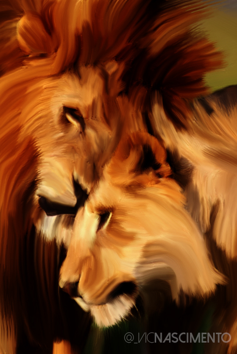 #Design #illustration #lion #lioness