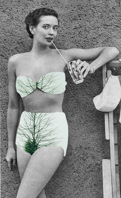 collage art surreal Nature Modernart vintage photograph digital black and white green