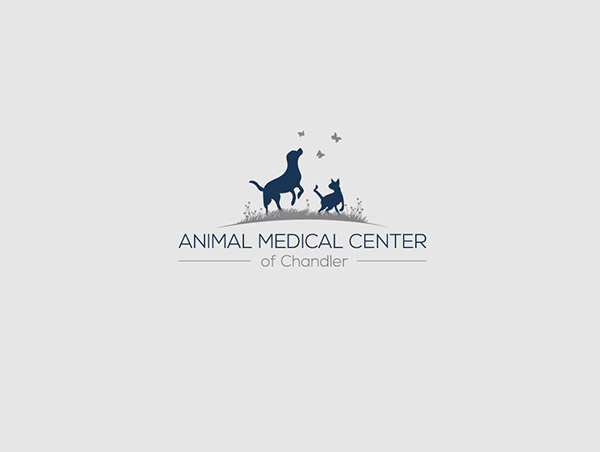 Veterinary Hospital logo design on Behance