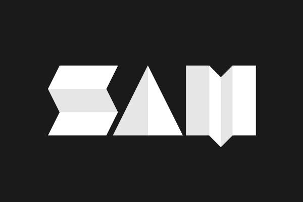 brand sam Business Cards logo identity portfolio stationary Space  paper Icon Logotype