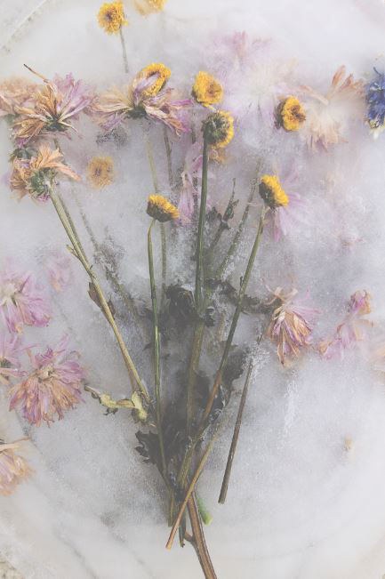 Flowers ice frozen bouqet macro