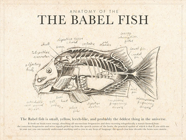 Hitchhiker's Guide babel fish fish fish anatomy anatomy sketch biology science fiction fiction Space  galaxy BBC