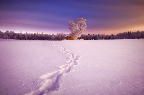 winter finland mood snow light destiny Beautiful Nature colors season Landscape colorful White cold
