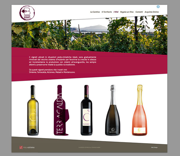 Responsive Design Website wine producer wine