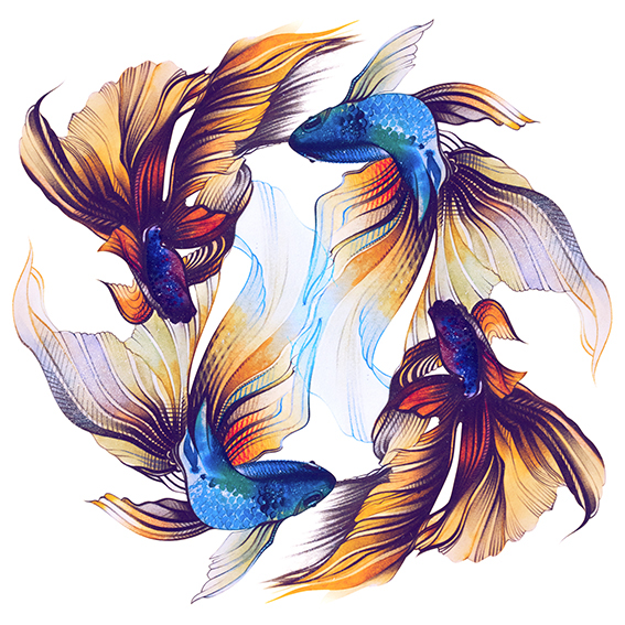 Альвина Денисенко Alvina Denisenko allween watercolor fish watercolor pencil Koh-I-Noor watercolor art Watercolor Drawing graphic art artist