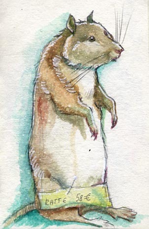 taxidermy stuffed animals free work water colour pencil sketch animals Nature macaber